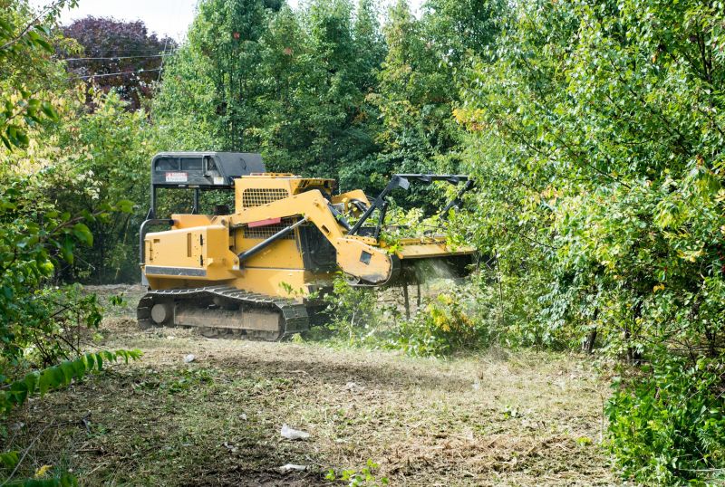 Undergrowth Removal Equipment